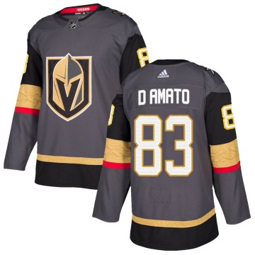 Authentic Adidas Youth Daniel D'Amato Vegas Golden Knights Home Jersey - Gray